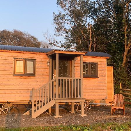 Lle Mary - Beautiful Views, Hot Tub, Secluded, Dog Welcome, Barmouth Llanddwywe 외부 사진