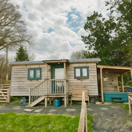 Lle Mary - Beautiful Views, Hot Tub, Secluded, Dog Welcome, Barmouth Llanddwywe 외부 사진