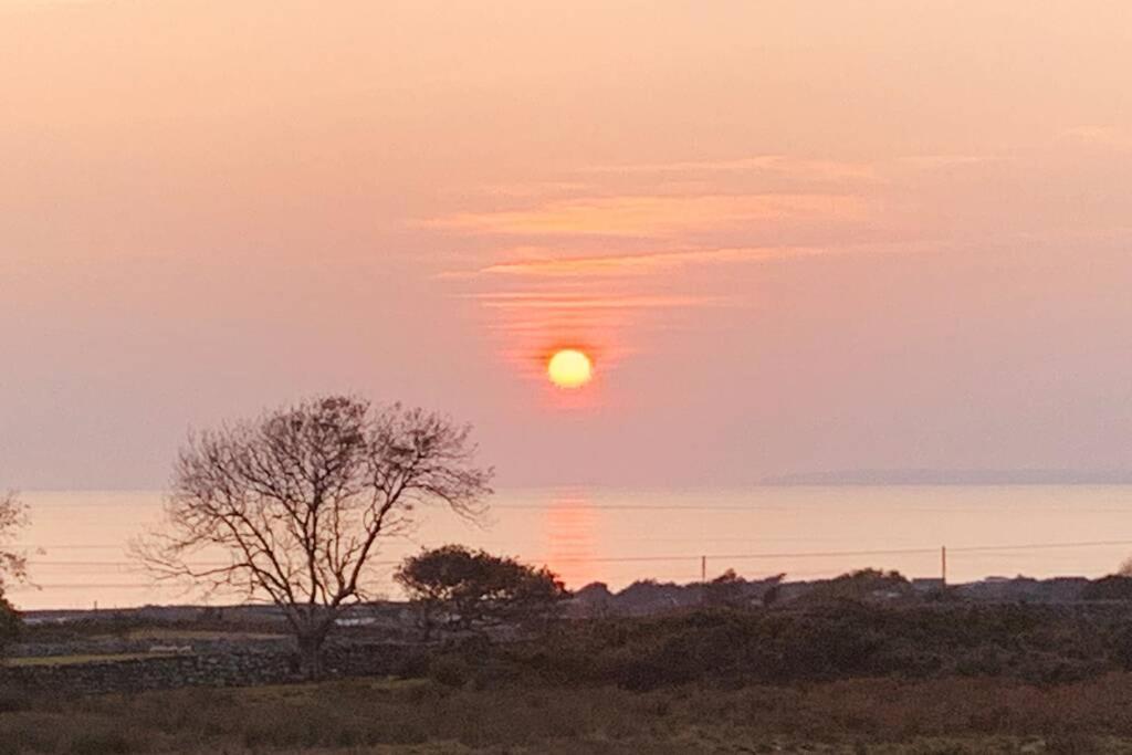 Lle Mary - Beautiful Views, Hot Tub, Secluded, Dog Welcome, Barmouth Llanddwywe 외부 사진