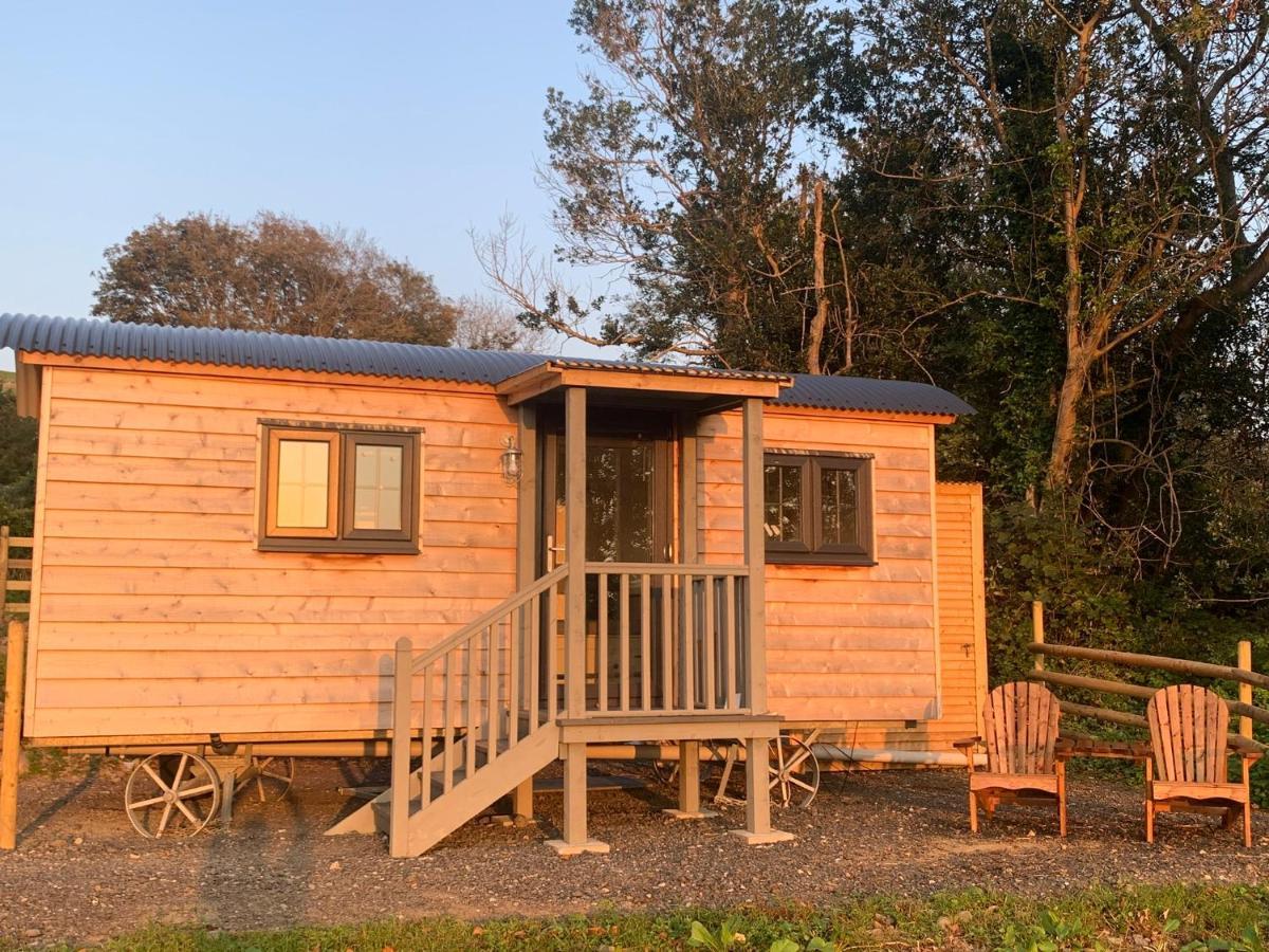 Lle Mary - Beautiful Views, Hot Tub, Secluded, Dog Welcome, Barmouth Llanddwywe 외부 사진