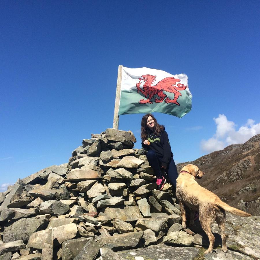 Lle Mary - Beautiful Views, Hot Tub, Secluded, Dog Welcome, Barmouth Llanddwywe 외부 사진