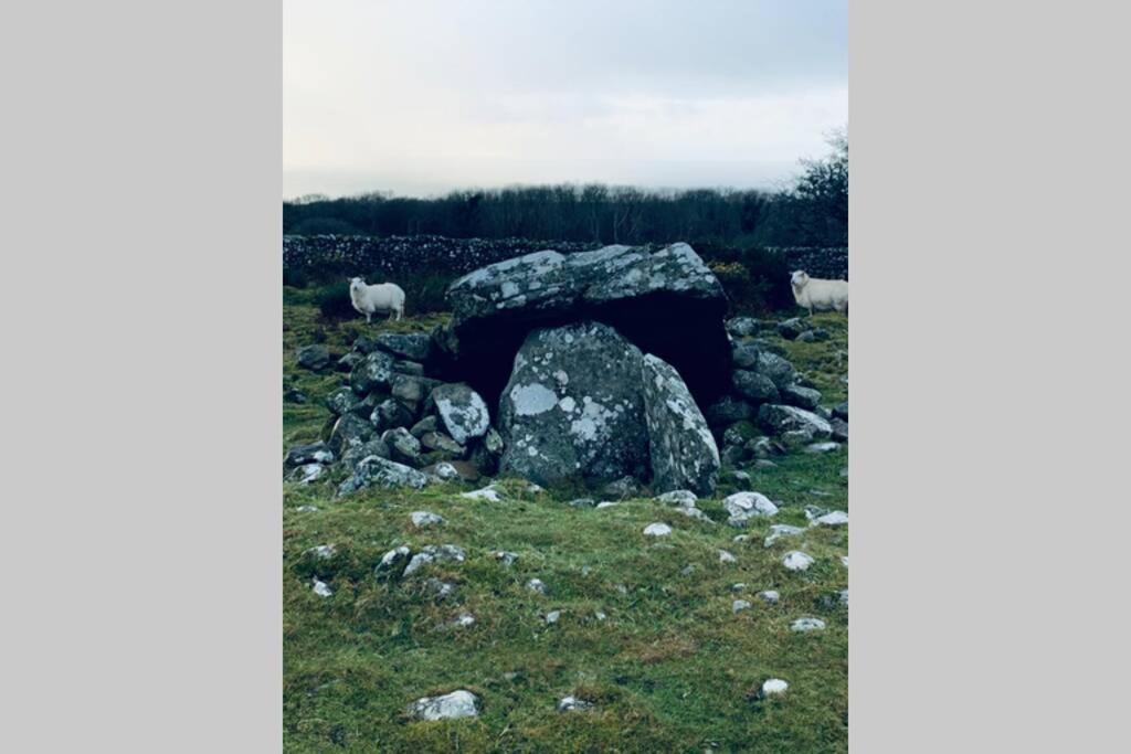 Lle Mary - Beautiful Views, Hot Tub, Secluded, Dog Welcome, Barmouth Llanddwywe 외부 사진