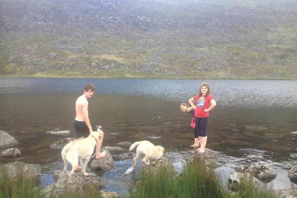 Lle Mary - Beautiful Views, Hot Tub, Secluded, Dog Welcome, Barmouth Llanddwywe 외부 사진